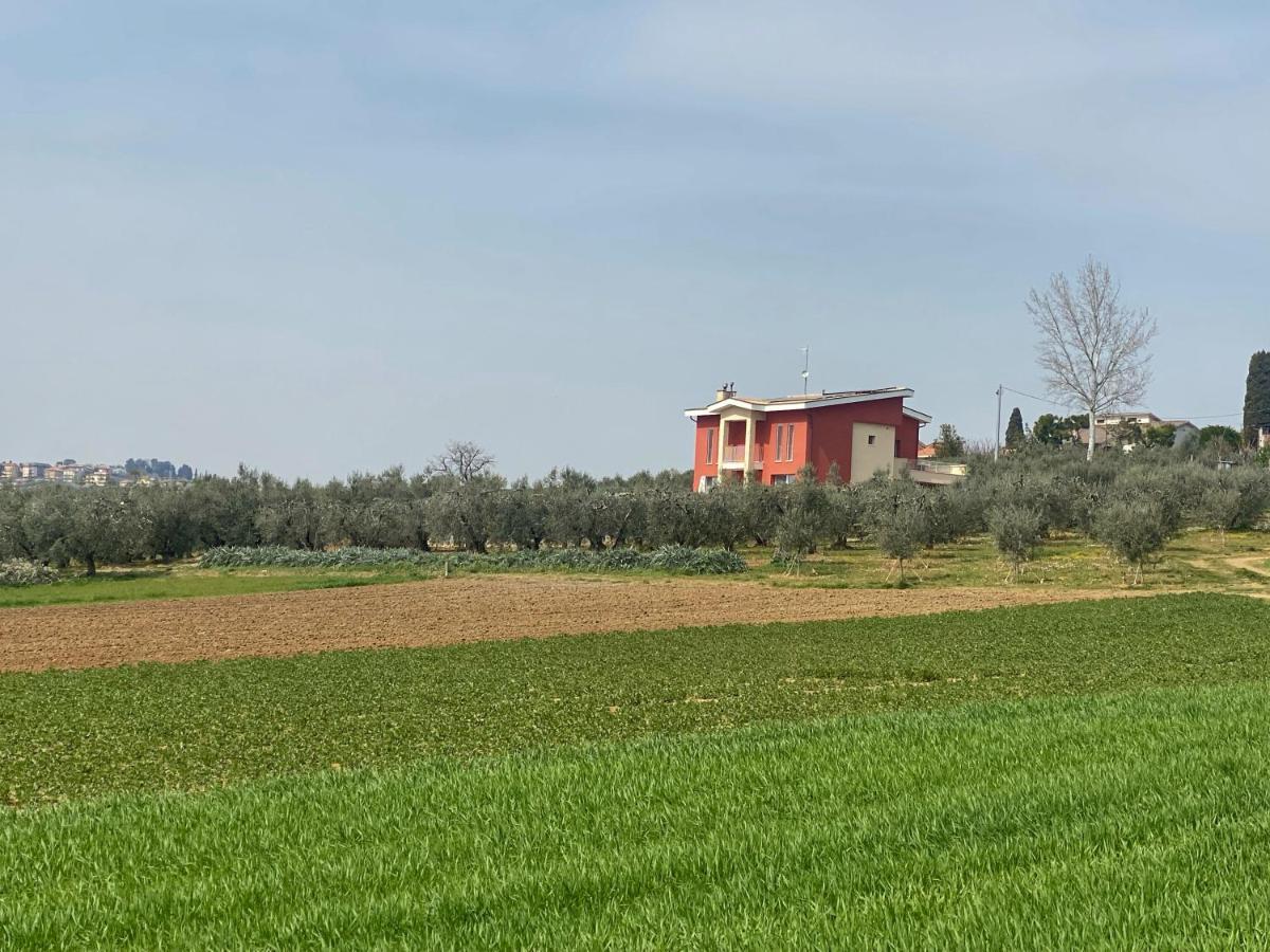 Olea B&B Montecosaro  Buitenkant foto