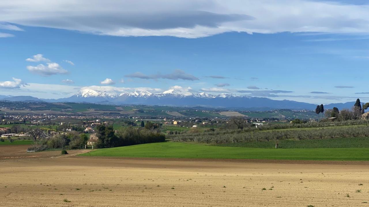Olea B&B Montecosaro  Buitenkant foto