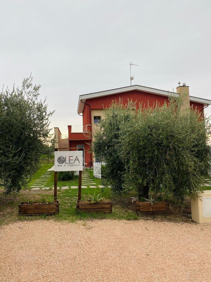 Olea B&B Montecosaro  Buitenkant foto