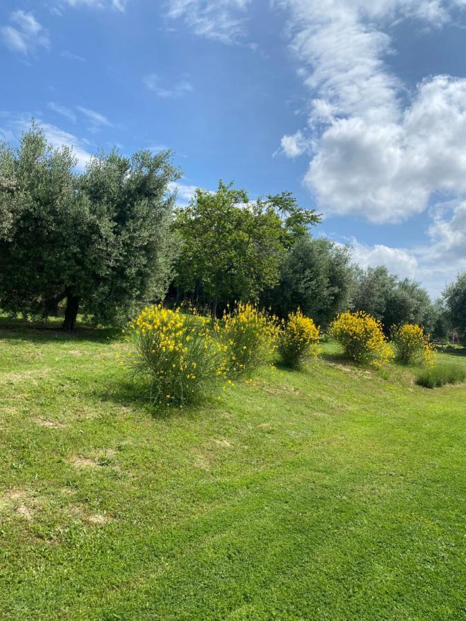 Olea B&B Montecosaro  Buitenkant foto